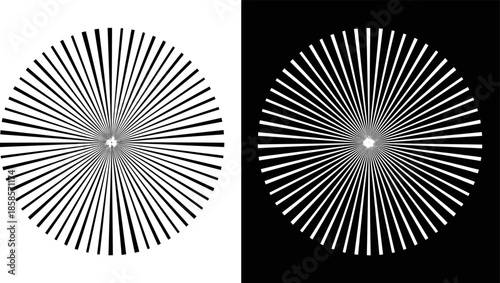 Radial contrast illusion pair, black and white circular patterns, visual perception test, symmetrical abstract design, optical depth and motion artwork