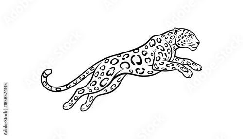 Jumping Leopard Line Art Vector