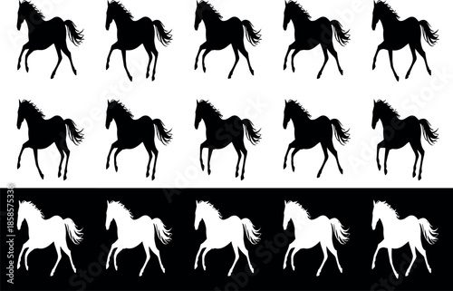 A professional photographer uses high-end camera equipment to capture stunning high-resolution portraits for a premium digital stock photo collection