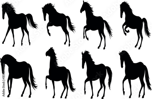 A professional photographer uses high-end camera equipment to capture stunning high-resolution portraits for a premium digital stock photo collection