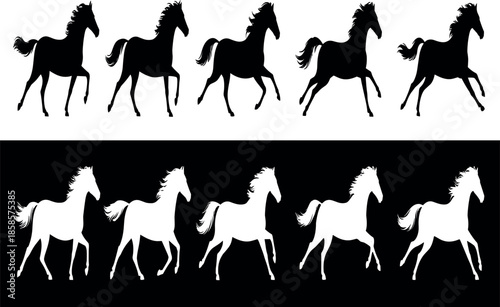 A professional photographer uses high-end camera equipment to capture stunning high-resolution portraits for a premium digital stock photo collection