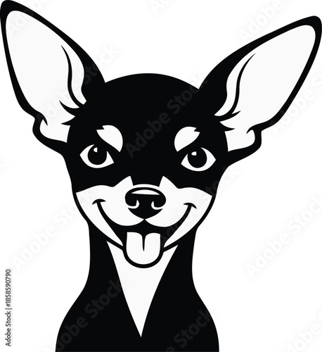 Cute and playful chihuahua dog with a happy face, big ears, and tongue sticking out