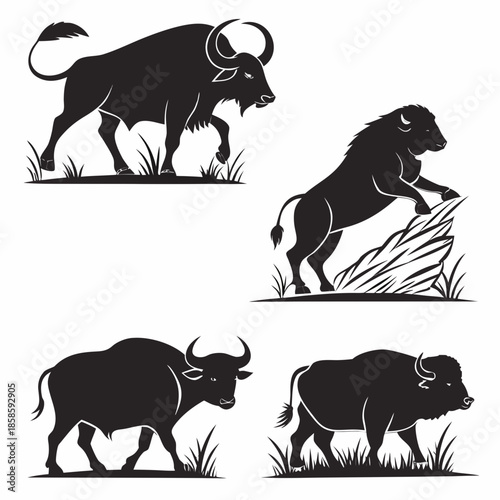 Silhouettes of buffalo