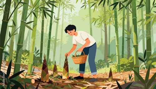 A person gathers bamboo shoots in a lush green bamboo forest