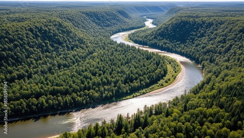 Aerial view of a winding river flowing through a lush green forest landscape