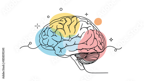 Detailed illustration of a human brain with various colored blobs representing different functions, creativity, and cognitive processes in line art.