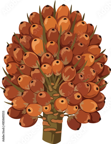 Pincushion Protea Flower Head with Seeds.