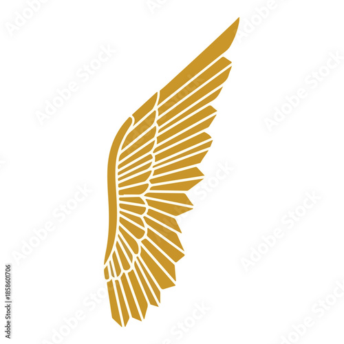 Golden Wing Fragment Isolated On White Background.