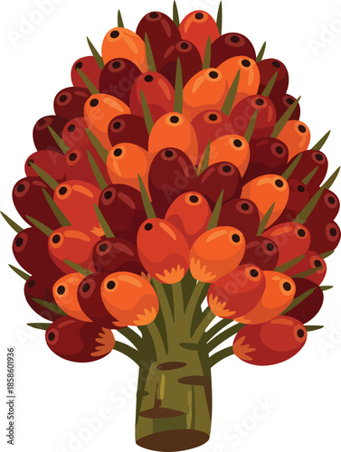 Vibrant Pincushion Protea Flowers in Vase.