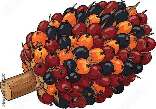 Colorful Illustration of Fresh Fruits and Stem.