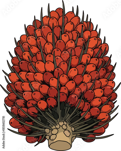 Red Prickly Cactus Fruit or Plant.