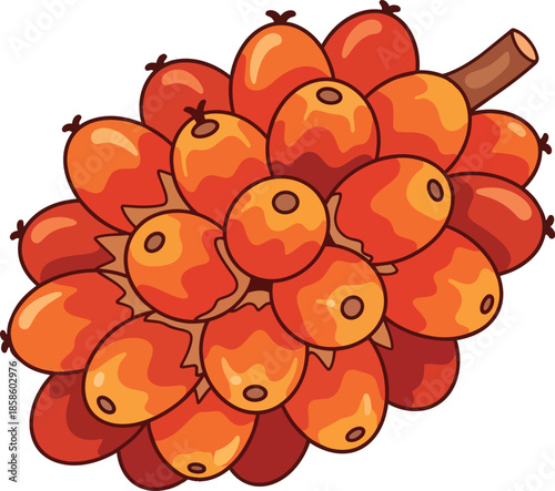 Cluster of Fresh Orange Fruits on Stem.