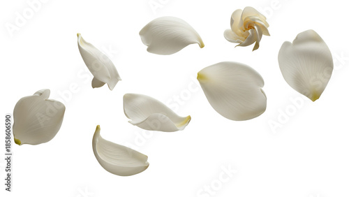 White flower petals falling gently through the air, captured in a serene and isolated environment from a straightforward viewpoint