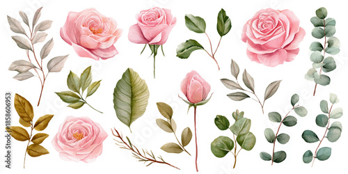 Vibrant watercolor collection of tropical hibiscus flowers and lush green palm leaves