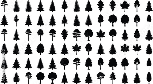 Black tree silhouette icon mega set, forest woodland pine oak maple varieties, nature botanical shapes isolated on white background, vector illustration