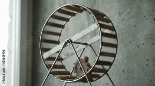 antecedence. Hamster wheel in endless rotation on a plain grey background. wildlife magazines, conservation campaigns, designed for nature documentaries and education, used by health educators.