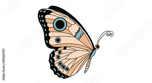 Elegant illustration of a butterfly with detailed patterns in beige and blue on its wings shown from a side view.