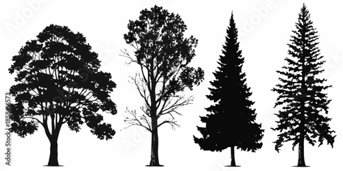 Silhouettes of various evergreen and deciduous trees against a white background