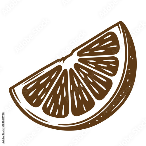 Vintage A brown illustration of a slice of citrus fruit on a white background