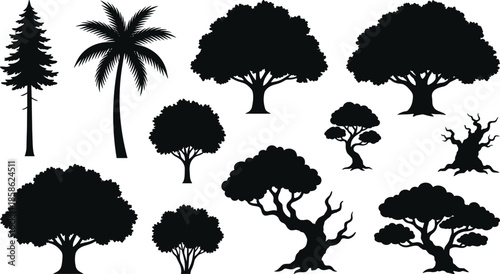 Tree silhouettes collection, pine palm oak bonsai varieties, forest and tropical plants, black vector illustration, isolated botanical icons on white background