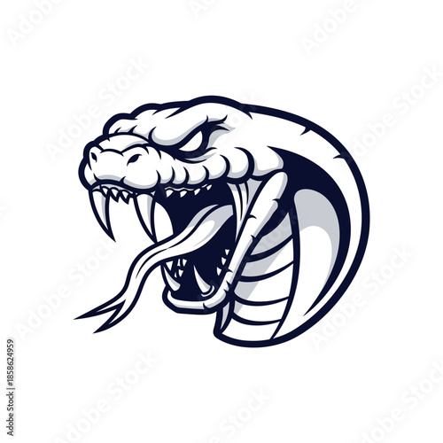 Powerful and fierce serpent head vector illustration, depicting a venomous cobra with aggressive fangs and a flicking tongue, ideal for sports team mascots or strong branding