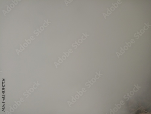 A soft and abstract light grey background with subtle, indistinct details in the lower corner
