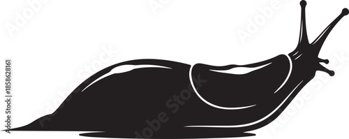 A striking black and white illustration of a snail s silhouette