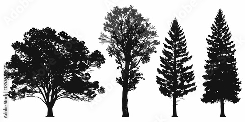 Silhouettes of diverse trees oak fir and pine against a white background