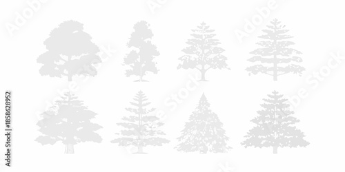 A collection of grayscale silhouettes depicting various types of coniferous trees