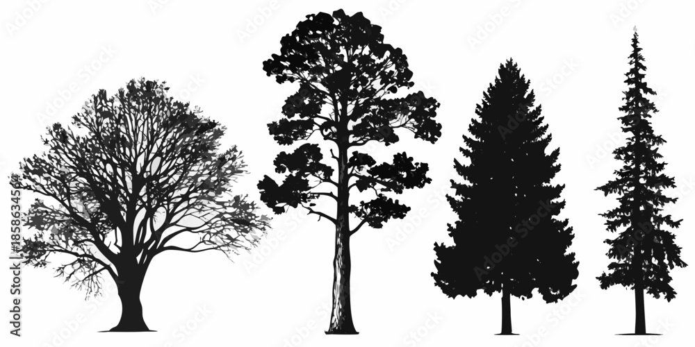 Fototapeta premium Silhouettes of various trees against a clean white background