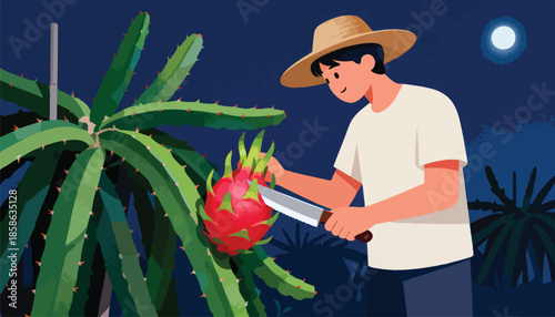 Man harvesting dragon fruit at night under moonlight