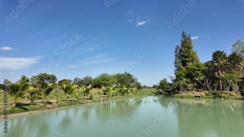 Tranquil River Landscape Embrace Natures Beauty with Lush Greenery, Palm Trees, and Reflection of Blue Sky in Serene Outdoor Scene of Peace and Water