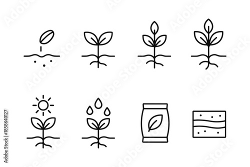 Linear icons of plant growth and gardening elements in minimalist style