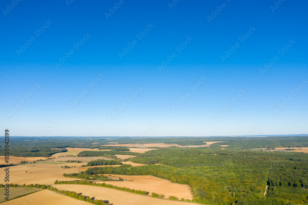 Obraz premium Expansive aerial view of golden farmland and dense green woodland stretching beneath a clear, vivid blue sky in the rural landscape of central France. The open fields and distant horizon create a