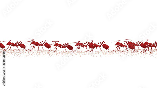Detailed illustration of a long line of busy red ants marching purposefully across a subtly textured surface, showcasing their communal movement.