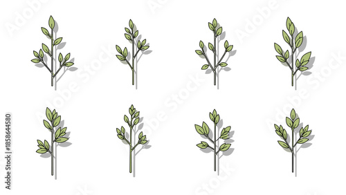 Set of minimalist green leaf branches with shadows on white background