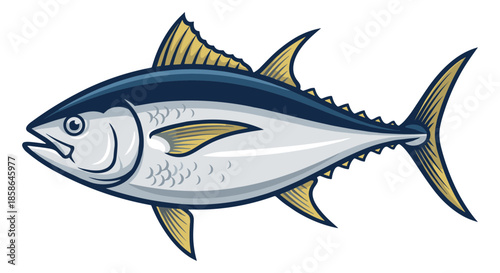 Illustration of a detailed tuna fish, a saltwater fish known for its speed and importance in commercial fishing industries worldwide