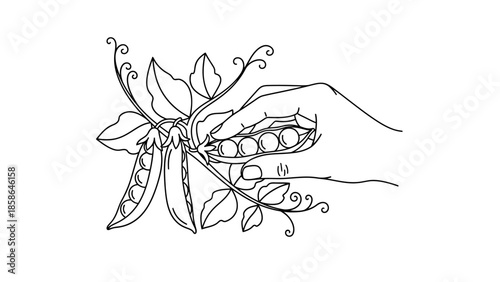 whisk_t0kv97_via_RJ_Whisk_Auto.eps