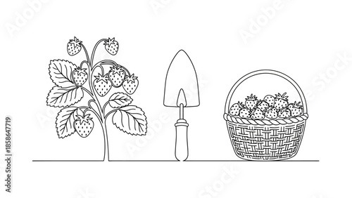 whisk_tef5o0_via_RJ_Whisk_Auto.eps