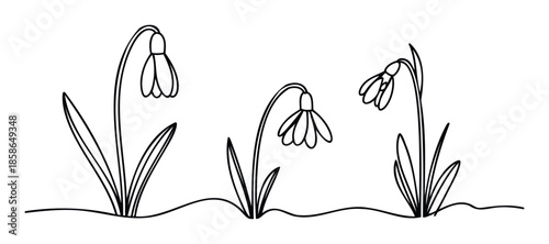 Minimalist black and white line drawing of three delicate snowdrop flowers emerging from the ground, perfect for early spring greeting cards, seasonal decorations, or simple educational
