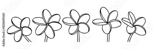 Minimalist hand drawn plumeria flowers in black outline arranged horizontally for graphic projects botanical themed decorations and tropical product branding