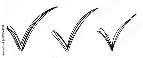 Hand drawn ink checkmark symbols signifying completion approval and correct choices perfect for task lists polls surveys and feedback forms