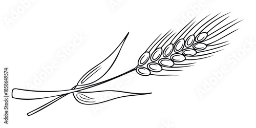 A simple black outline drawing of an ear of wheat with leaves symbolizes agriculture and harvest, perfect for food packaging, bakery logos, farming publications, or healthy eating promotions