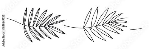 Minimalist line drawing of tropical palm leaves providing a simple elegant botanical motif perfect for product packaging textiles wall art or graphic design projects