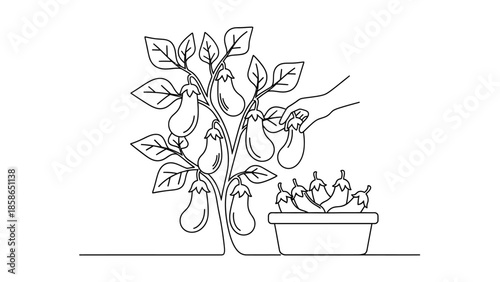 whisk_wvdf7b_via_RJ_Whisk_Auto.eps