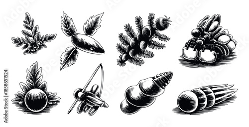 Set of black and white woodcut style illustrations featuring botanical elements, seashells, a fishing lure, and a toy airplane, ideal for rustic graphic prints.
