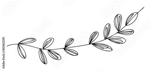 Elegant hand drawn botanical sprig with stylized leaves creating a minimalist organic embellishment suitable for various greeting cards, invitations, logos, and decorative graphic needs