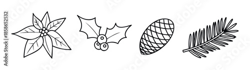 Winter holiday flora and natural elements set for festive seasonal celebrations, perfect for greeting announcements, decorative graphic projects, or themed product packaging