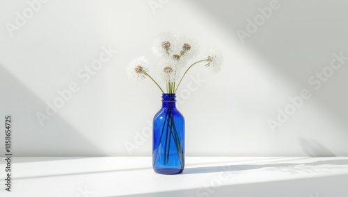 Dandelions stored in a blue...