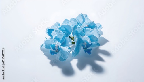 White background with blue ...